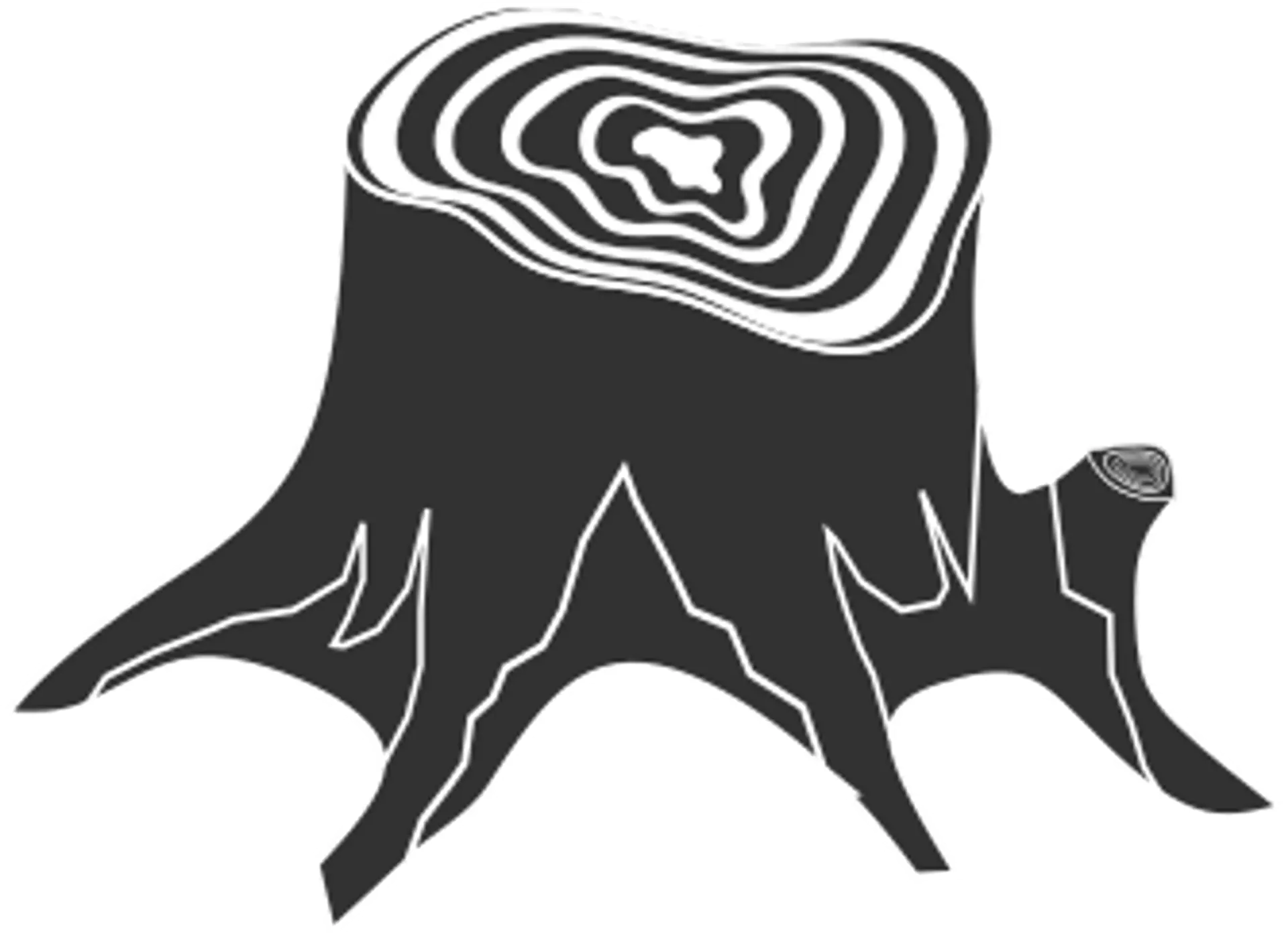 Deforestation Monitoring