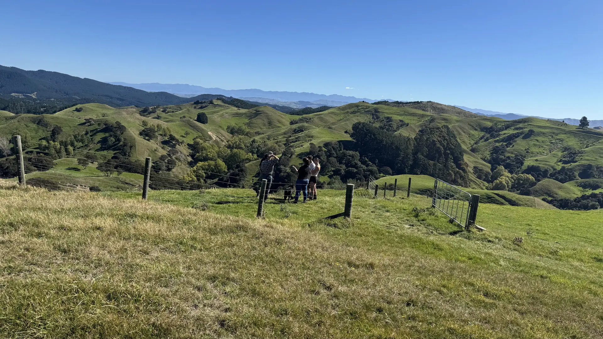 Biodiversity Action Plan