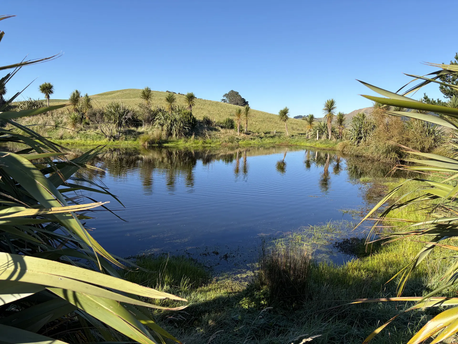 NPI SON biodiversity metrics