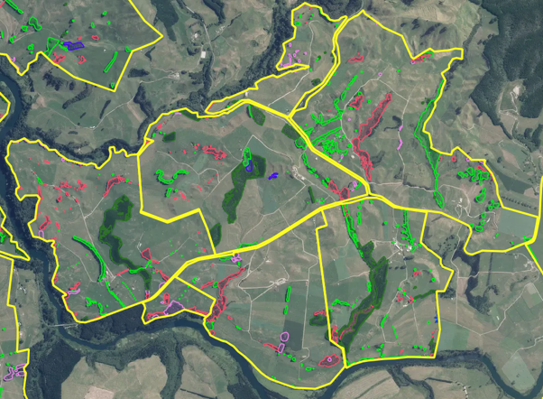 Image of vegetation mapping