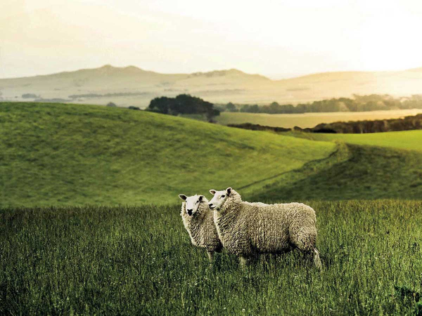 Technology to Highlight Natural Capital On-Farm