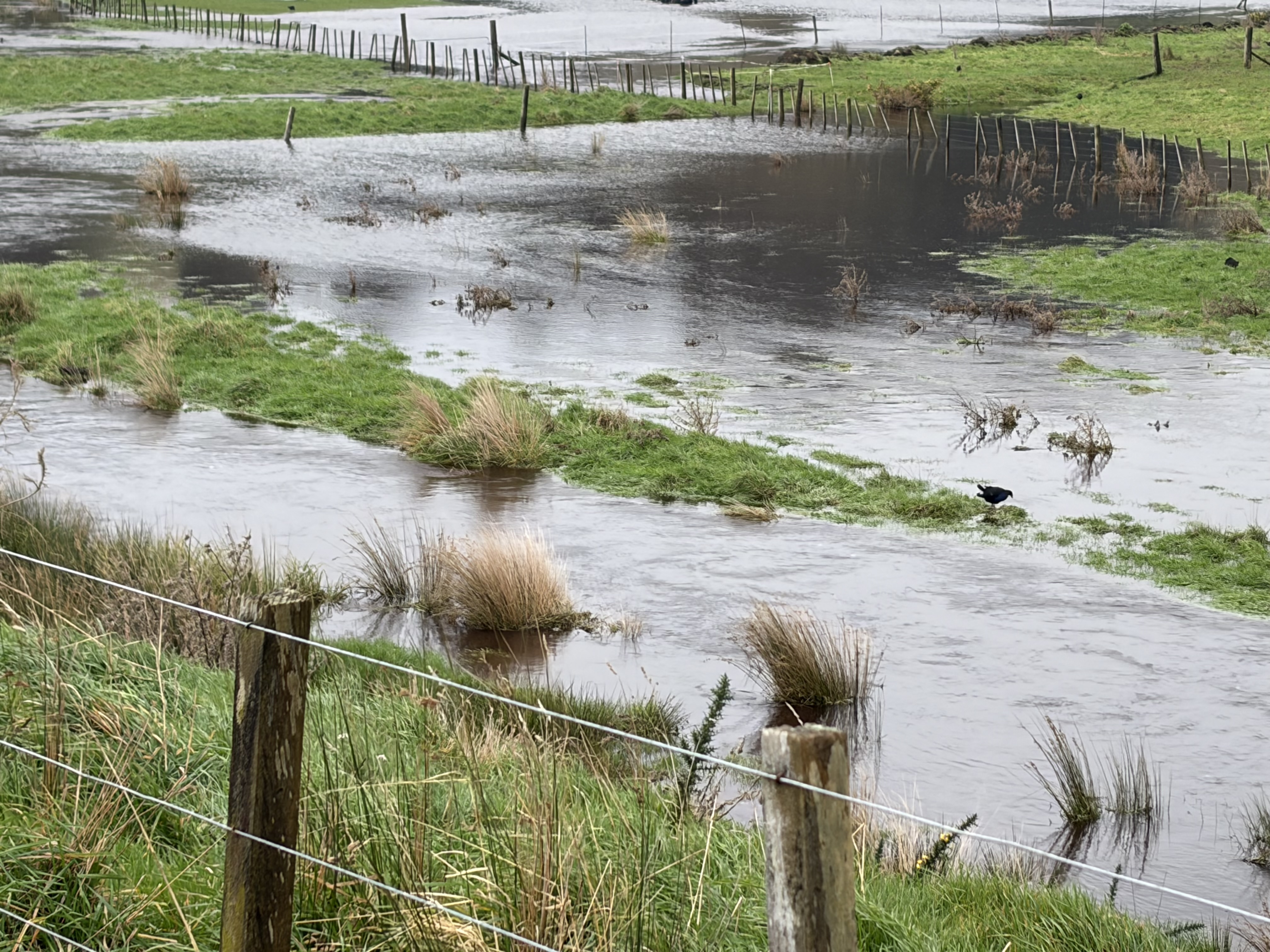 Turning Local Climate Data into Farm-Level Resilience