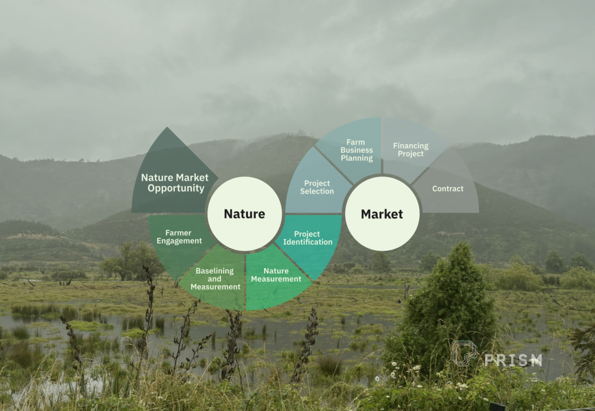 Activating Nature Markets: The Role of Measurement and MRV